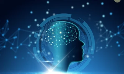 سیالک ایسڈ کے کام کیا ہیں؟